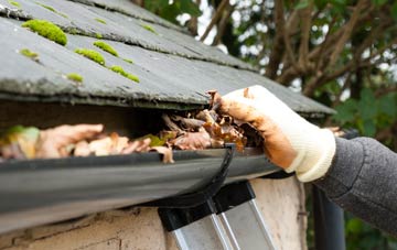 gutter cleaning Hinwood, Shropshire